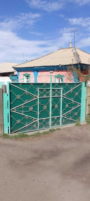 частный дом в затоне