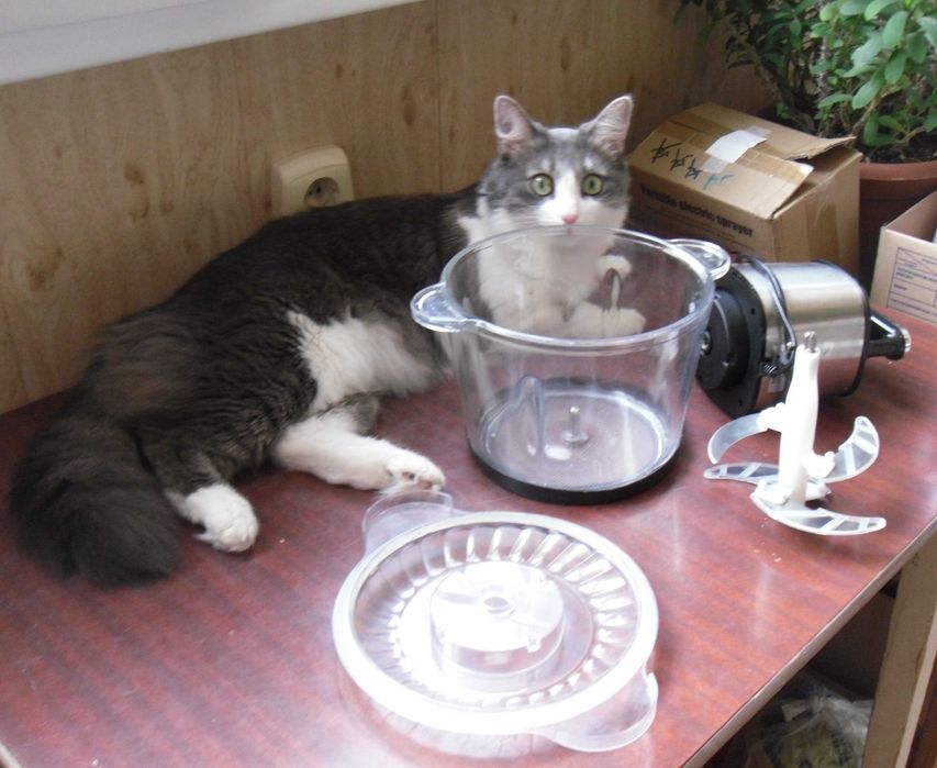 Электрический измельчитель