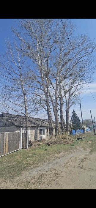 Прдается дом в с. Бескарагай