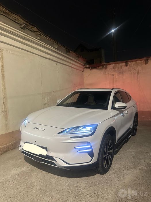 Byd Champion kraska toza