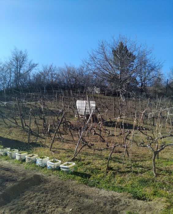 Продава къща в гр.Дупница