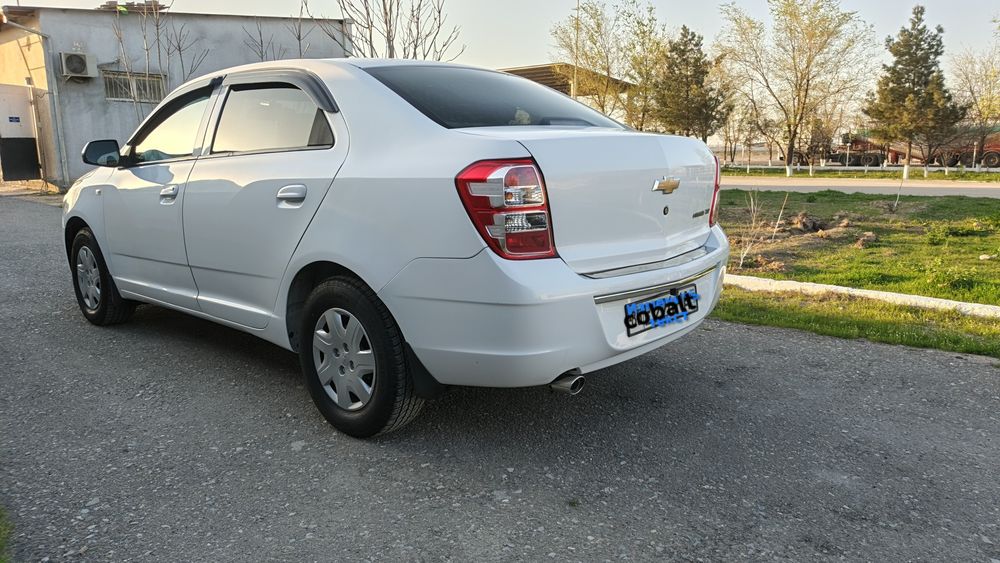 Cobalt 2020 pazitsiya 2