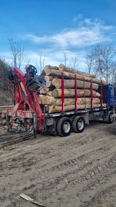 Vând lemn foc..fag+ diverse tari