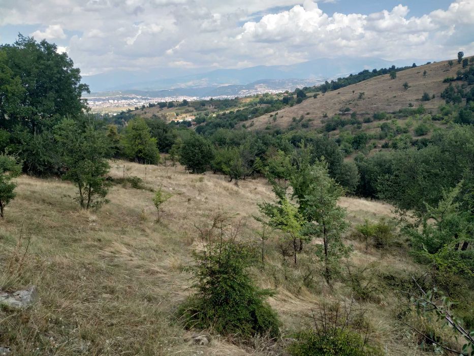 Продава се Земеделски имот в с. Покровник, Област Благоевград -  кв.м за 11050 €/дка - Снимка #3