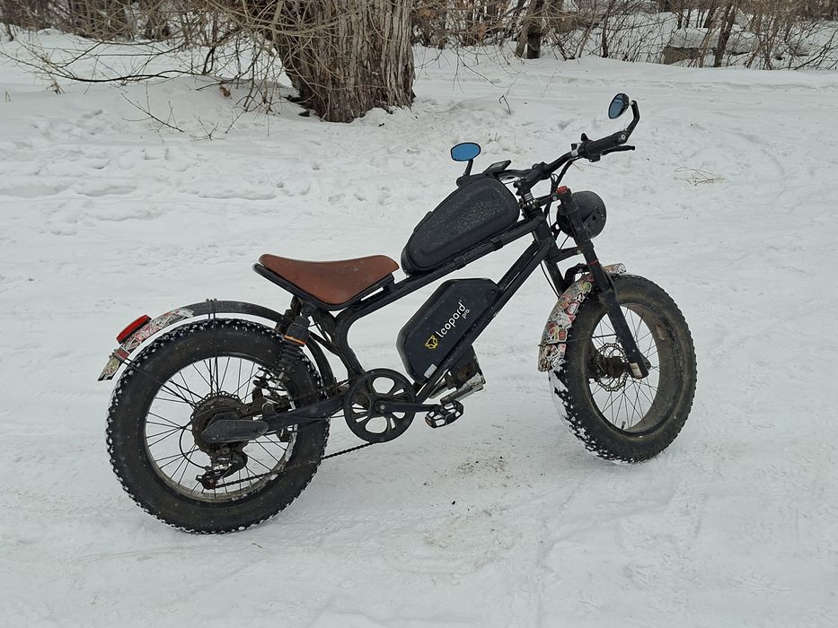 Электровелосепед леопард