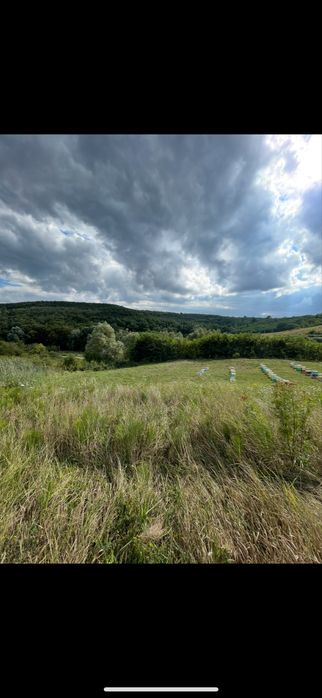Vand teren in comuna schitu duca cu iaz de peste si salcami