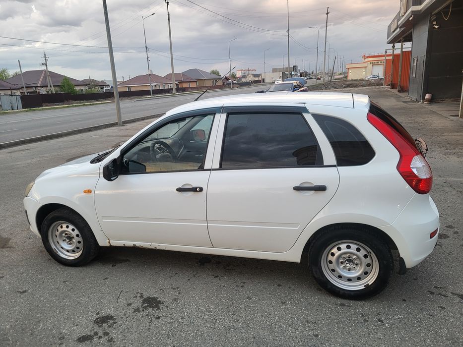 Калина Хэйчбэк 2014