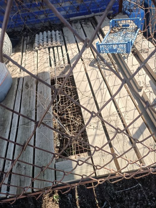 Вольер для собаки.     ( клетка)