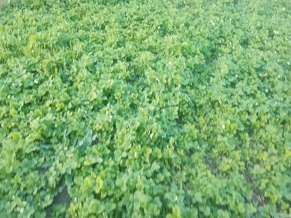 Продается Дом Кальпе или Обмен.