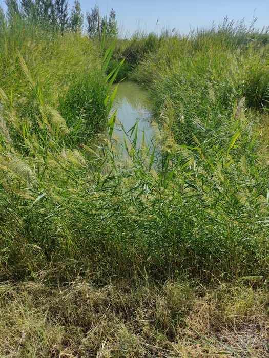 Участка сотилади срочно