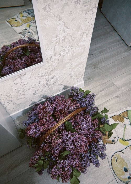 Сирень двух сортов