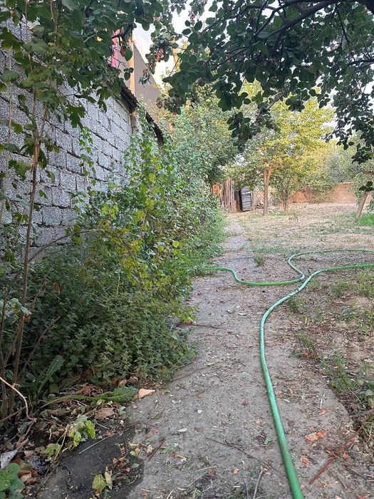 Дача Паркентский район (Навбахор)