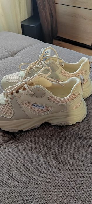 Sneakers Steve Madden