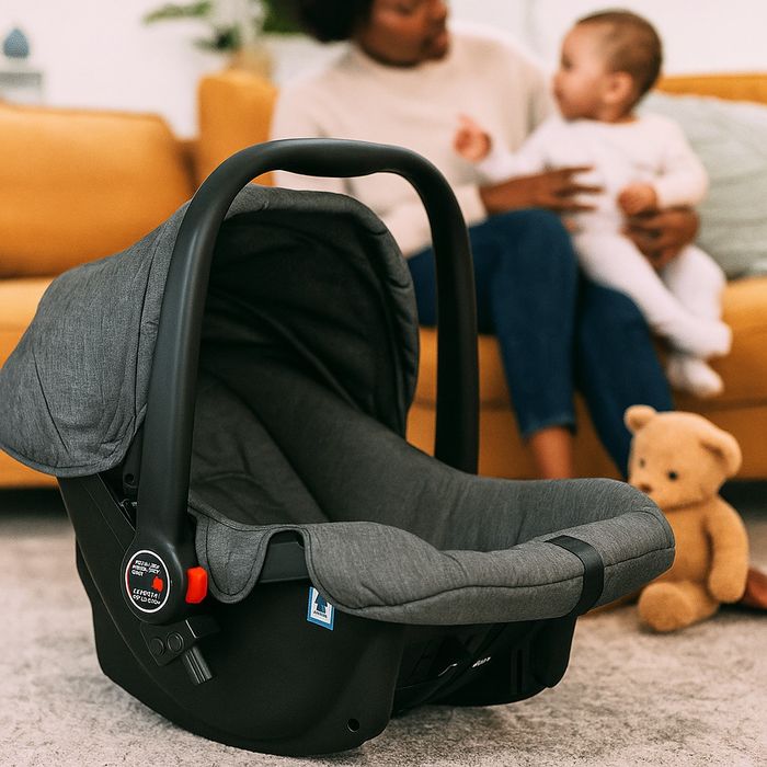 ПРОМО!!! Бебешко кошче за кола Zizito Regina