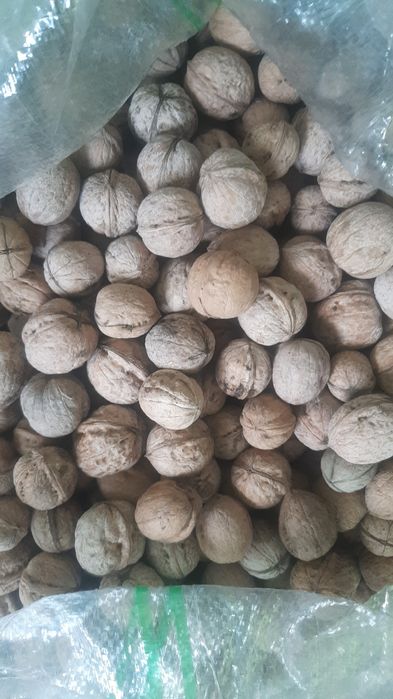 Орехи грецкие жангак