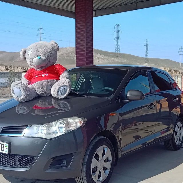 Ayiq sotiladi arginal