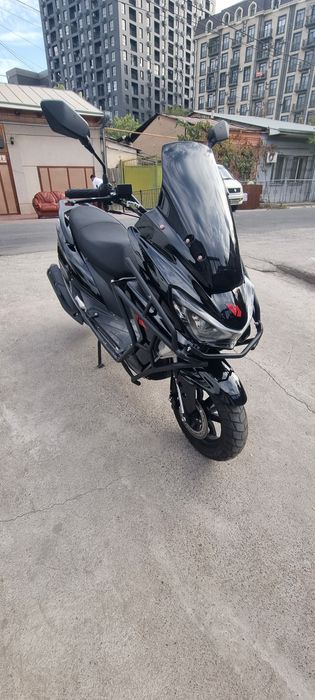 Tiger skuter sotiladi