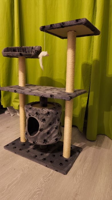 Casuta pentru pisici