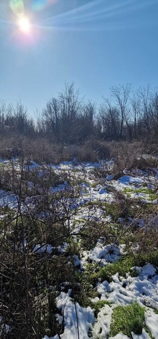 Teren 5720 mp Intravilan Valter Mărăcineanu - Iesire la Lac,