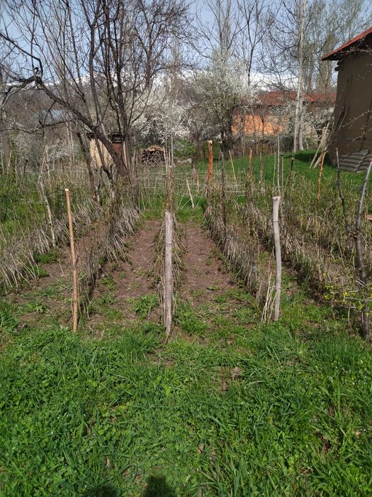 Yer bor srochka sotiladi