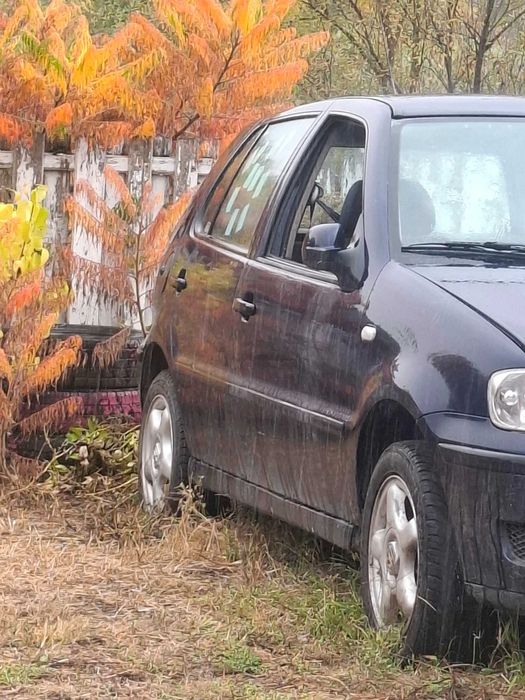 VOLKSWAGEN Polo 0 — imagine 2