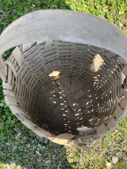 Стара Кошница два броя