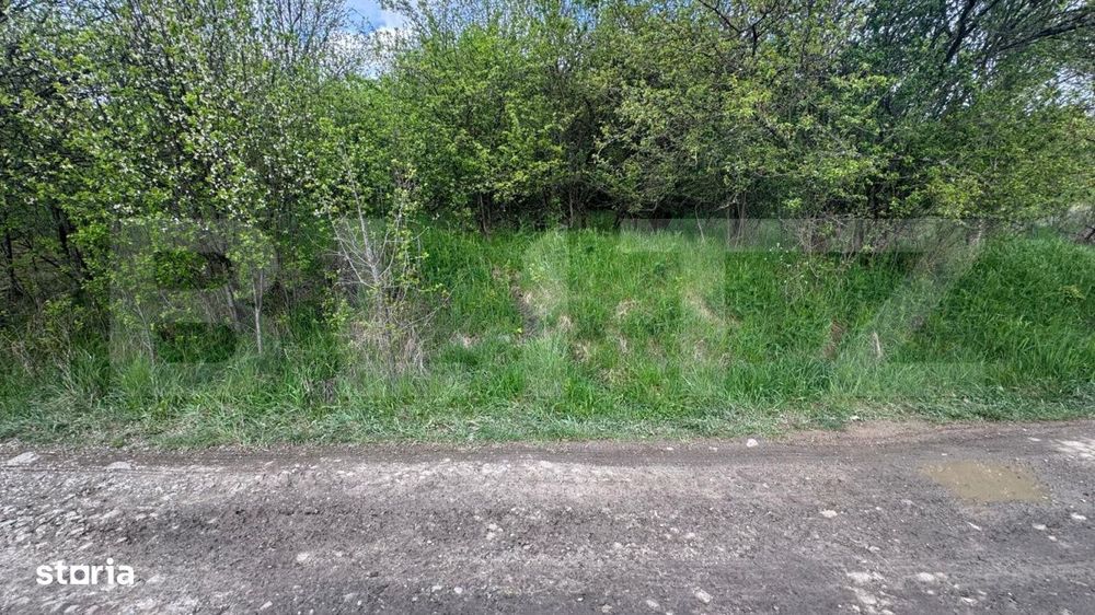 Teren extravilan de vanzare, 2.670 mp, Bistrita