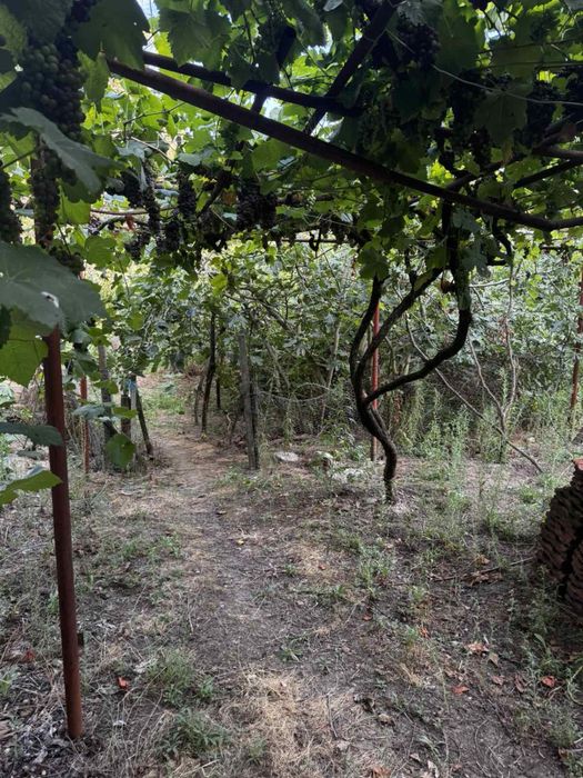 Продава се Къща в с. Ласкарево, Област Благоевград - 540 кв.м за 47 €/кв.м - Снимка #1