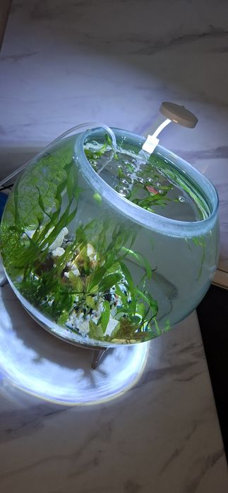 Аквариум цельный