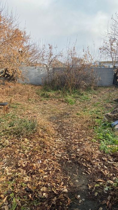 Продам дом в явленке