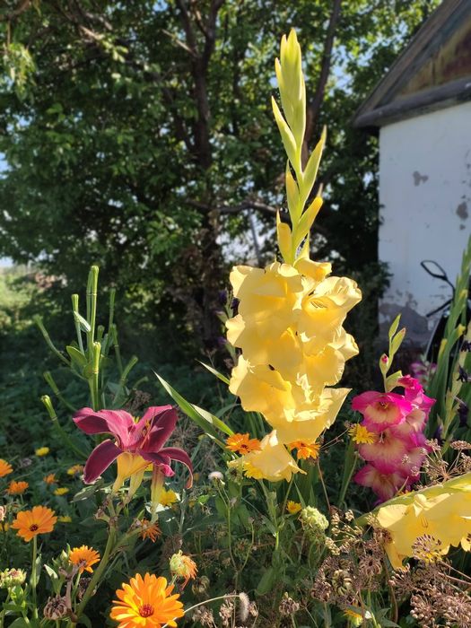 Продам дачу на 16 км идеал