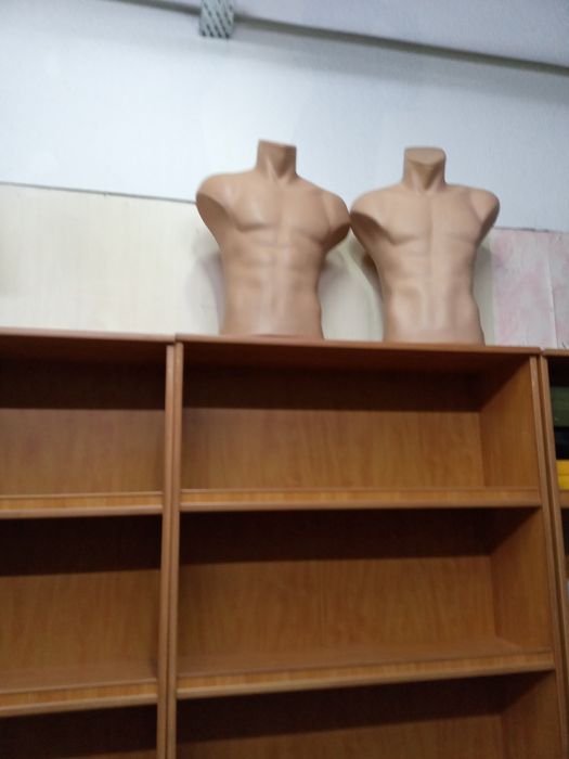 Манекены и торсы