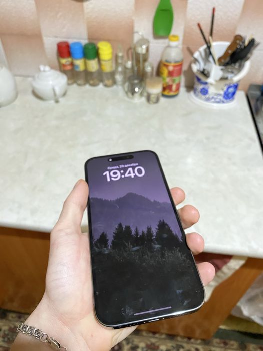 iPhone 14 Pro Max