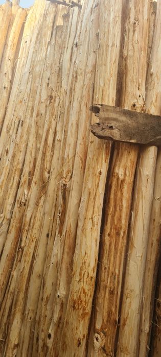 Terak mahsulotlari optim