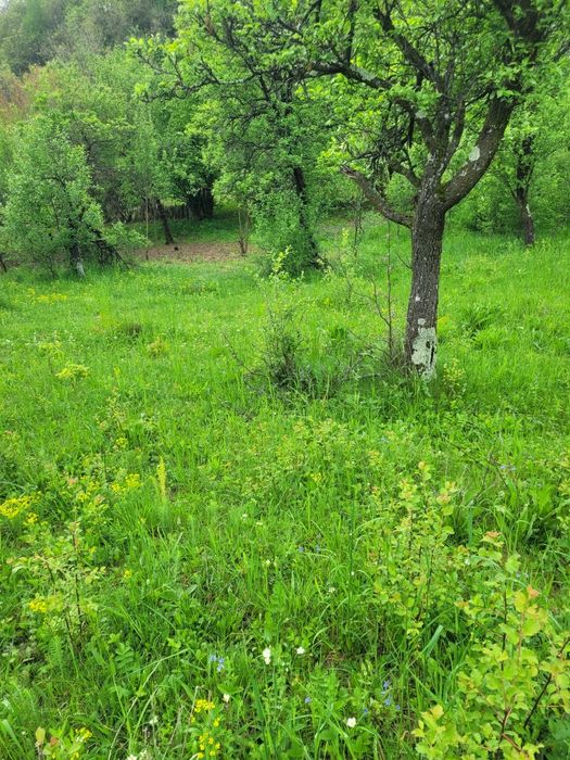 Teren de vanzare Varfuri, Dambovita