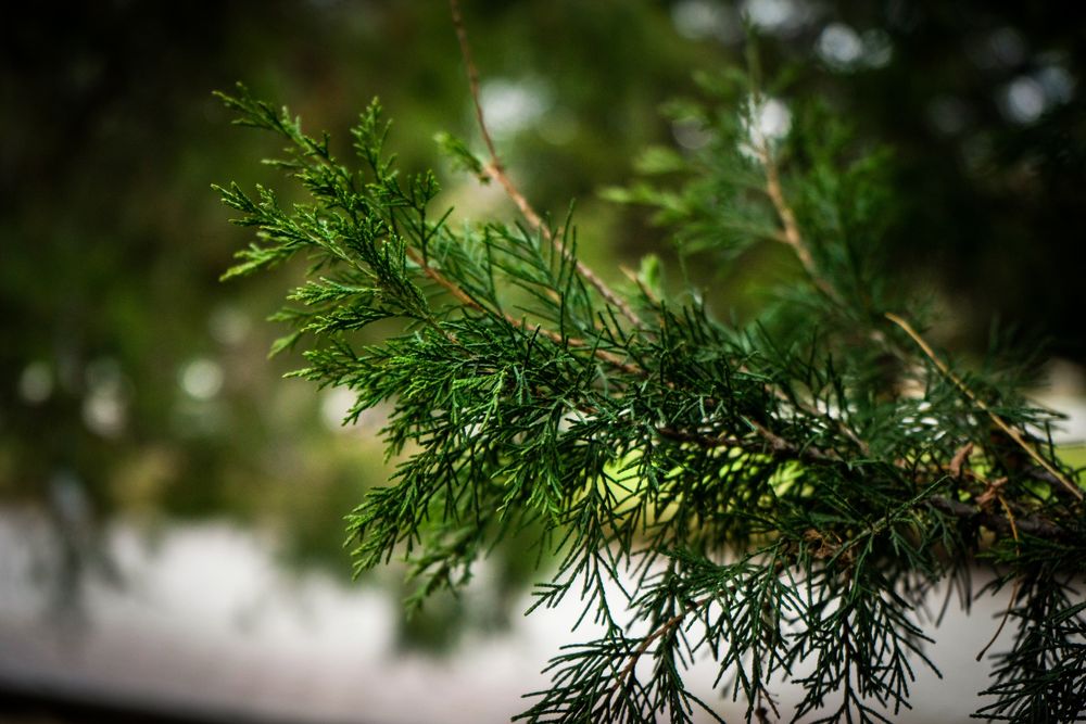 Sony Alpha 7R + kit объектив