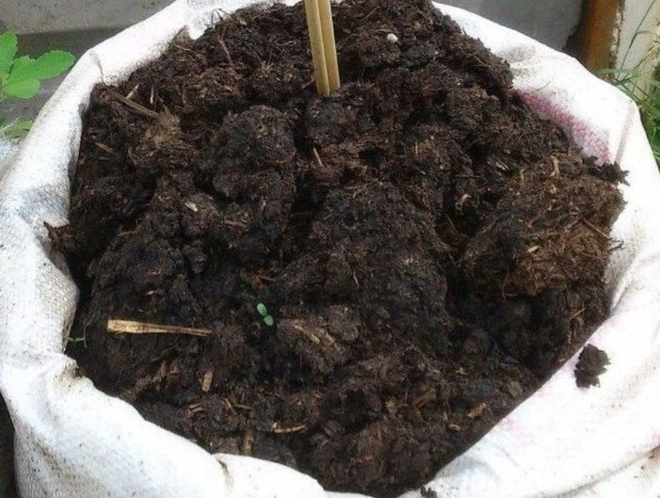 Продам перегной- навоз