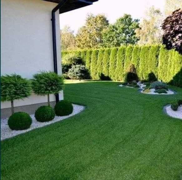 Gazon Natural cu Rădăcină Puternică – Curte Verde în Timp Record