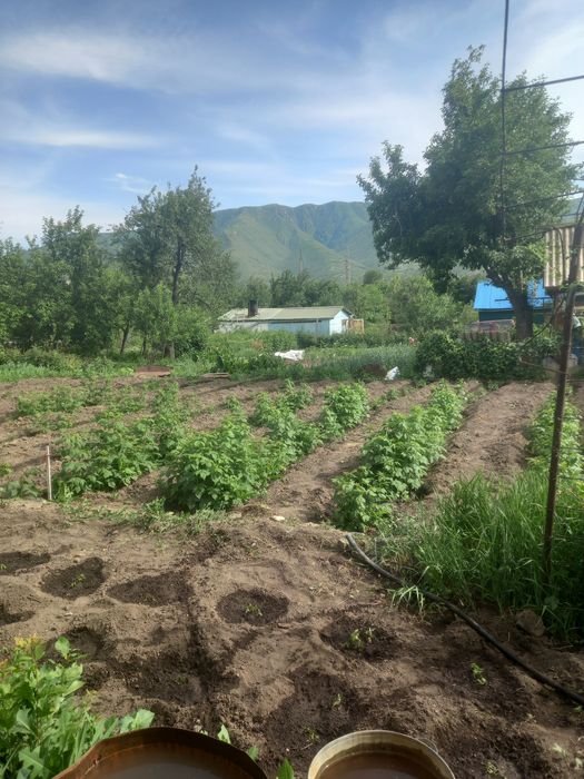 Продам срочно дача