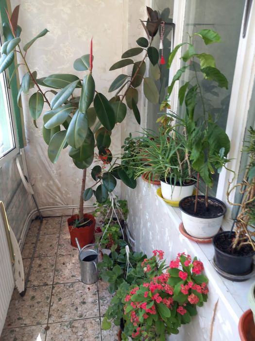 Apartament în Str Costache Racovita, 3 camere 64 mp utili, balcon, etaj 3/4, centrala proprie, AC, termopan, depozitare, scoli si licee in apropiere