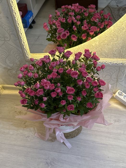 Цвеиы,Букет, гүл свежийй