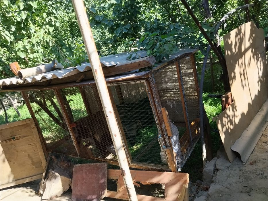 Tovuq katak va muzlatgich sotilari
