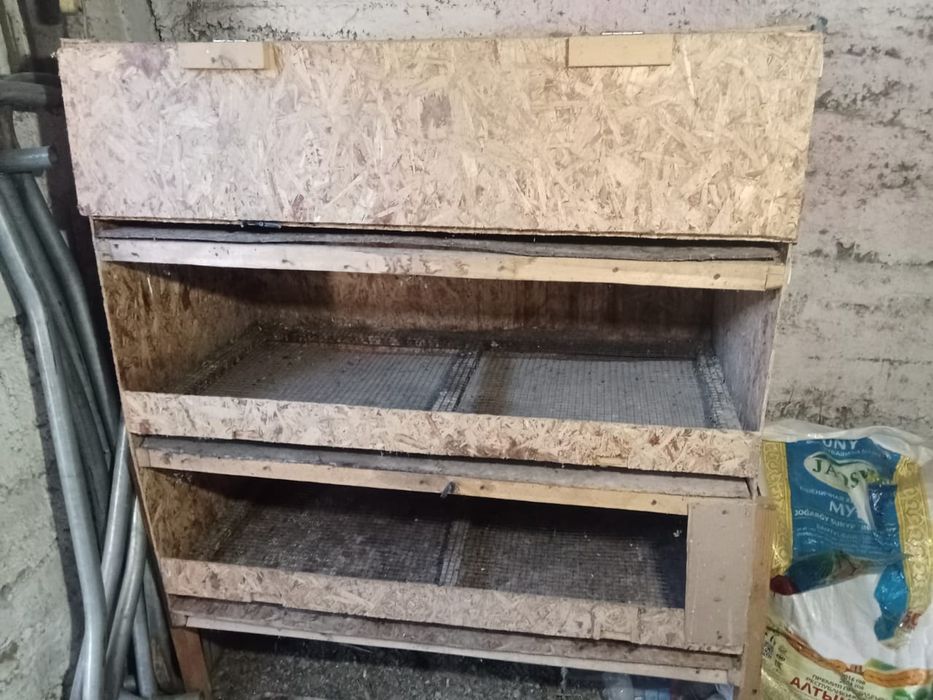 Брудер для цыплят