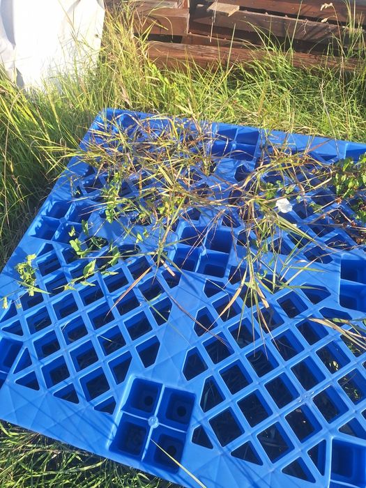 Paleti plastic 120/120