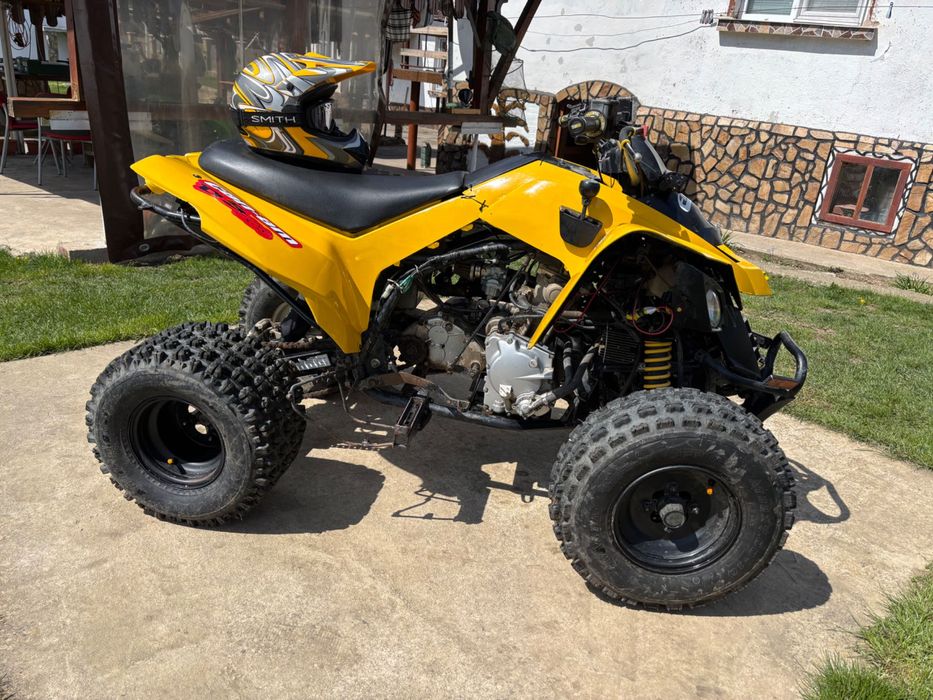 АТВ Can-am 250-DS
