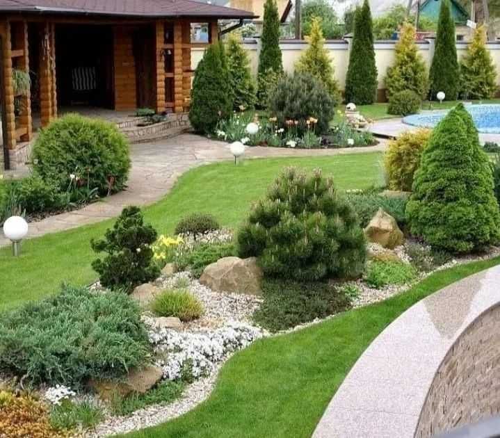 Укладка рулонного газона туи ели автополив благоустройство