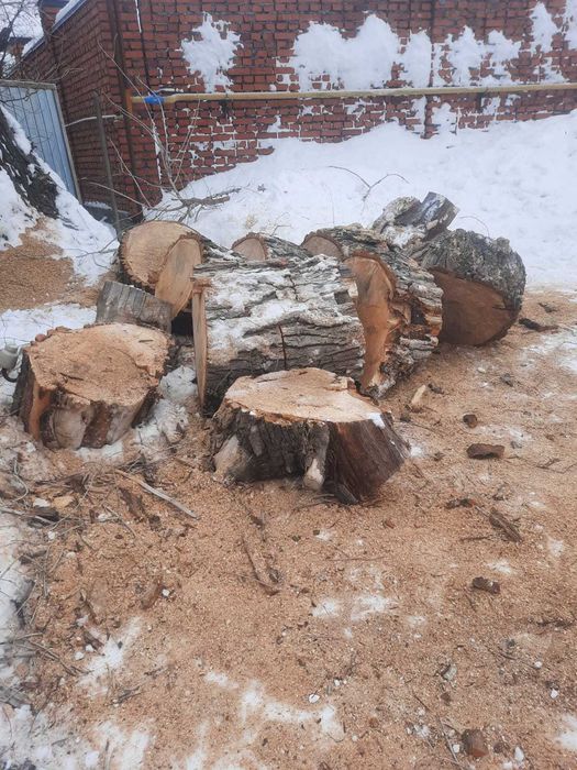 Спил обрезка аварийных леревьев