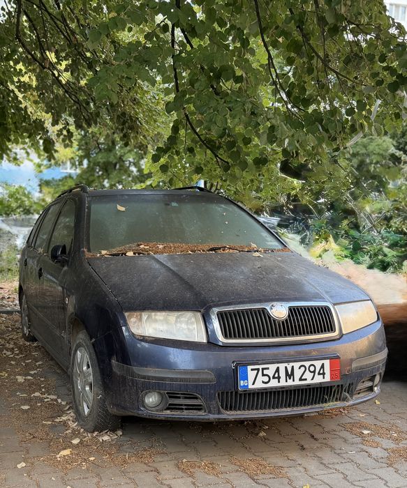 Skoda Fabia Combi 1.9 SDI, 64 к.с., дизел, 2004 г.
