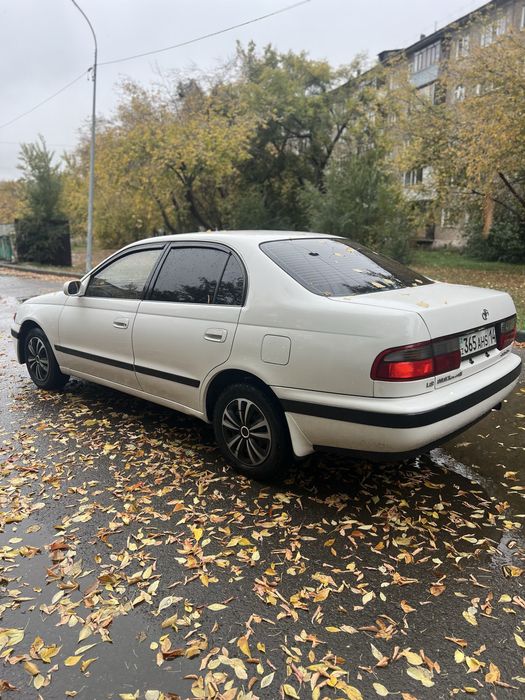 Обмен машину на лошадей