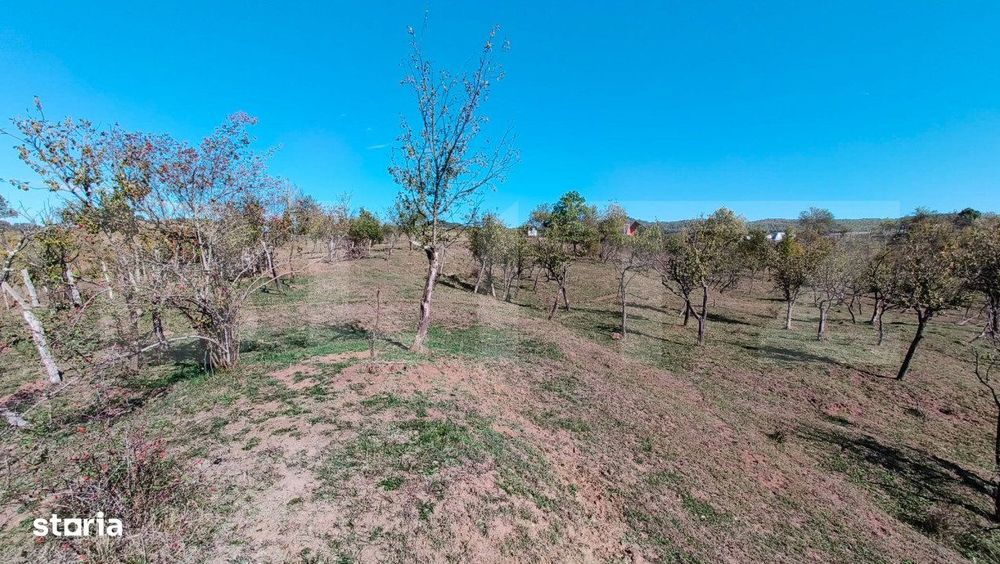 Teren extravilan cu priveliste superba , livada si potential casute de